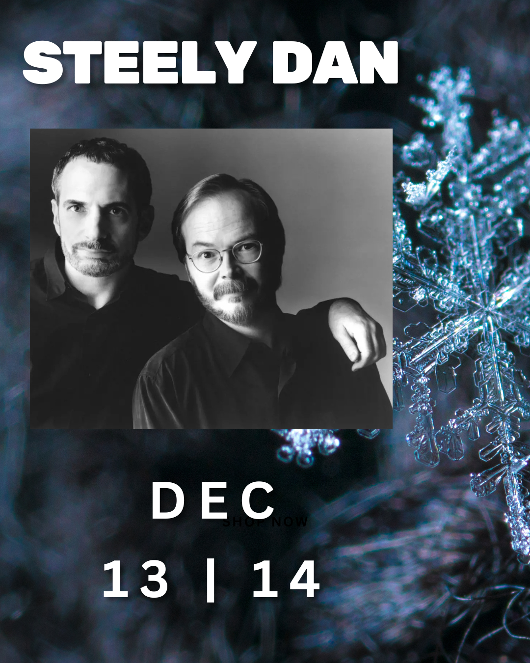 steely dan-2